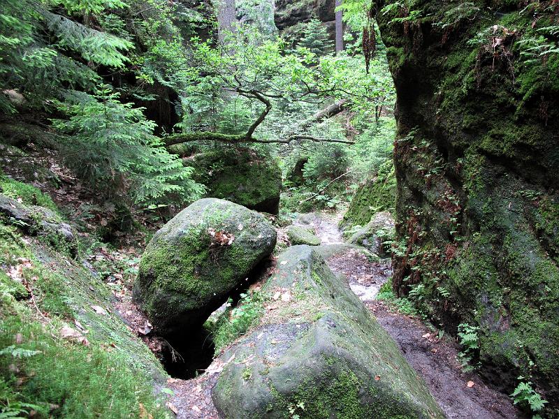 2010-06-12, Uttewalder Grund (40).jpg